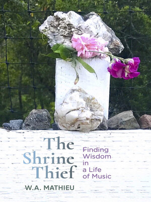 cover image of The Shrine Thief